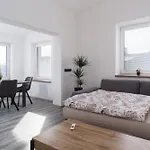 Roni Krkonose 公寓