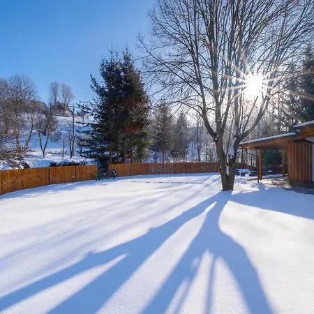 Roni Krkonose 公寓