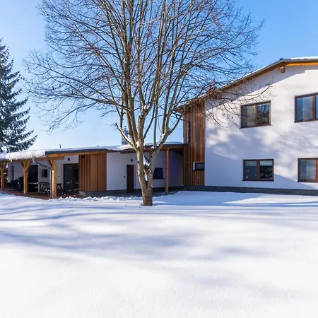 Roni Krkonose 公寓 *