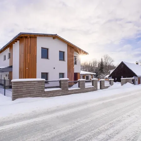 公寓 Roni Krkonose 切尔尼杜尔