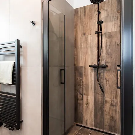 Roni Krkonose 公寓