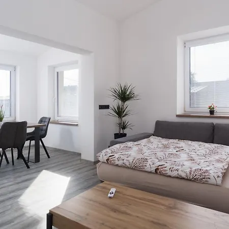 Roni Krkonose 公寓