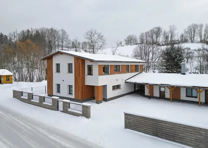 Roni Krkonose Apartman